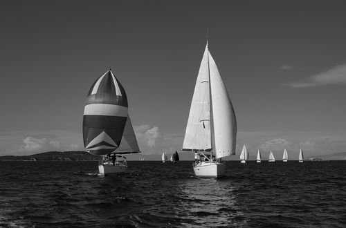 Sail
