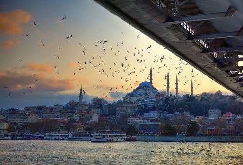 Under the bridge