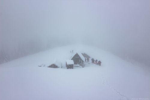 Приют туриста