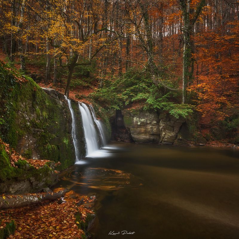 Autumn sceneryphoto preview