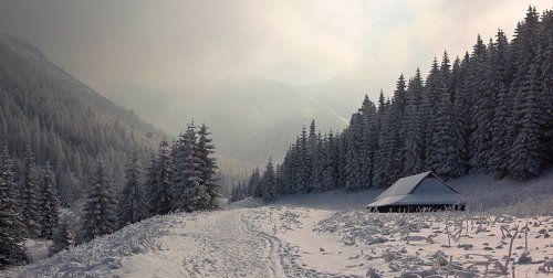 Приют.