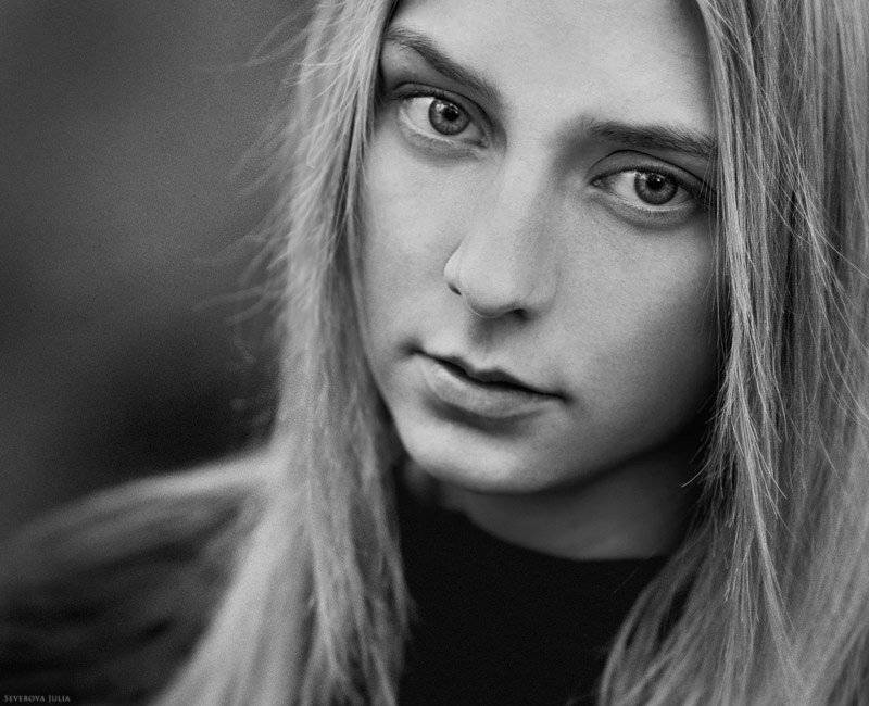 Автор: Северова Юлия , Северова Юлия