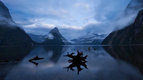 Fiordland