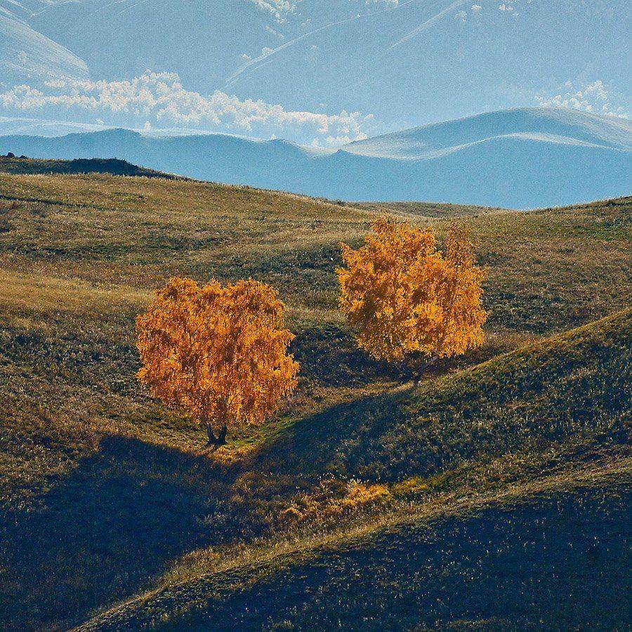 , Качурин Алексей