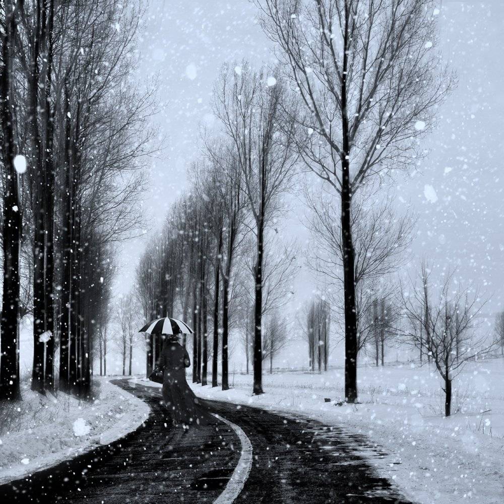Long way back home III. Автор: Caras Ionut woman, gilr, umbrella, tree, winter, snow, alone, walk, black, white, Caras Ionut