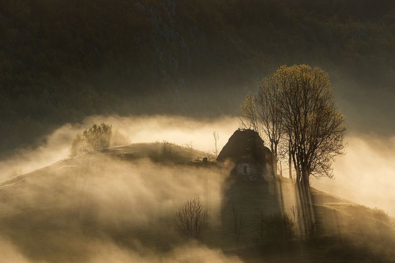 House of the Rising Sun