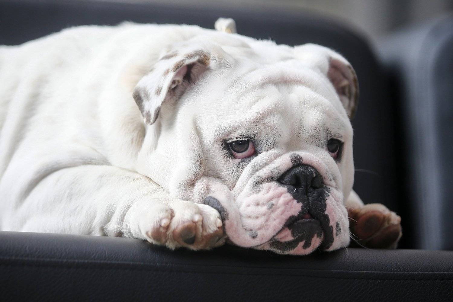 , Андрей Ершов