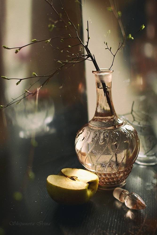 , Шипунова Ирина