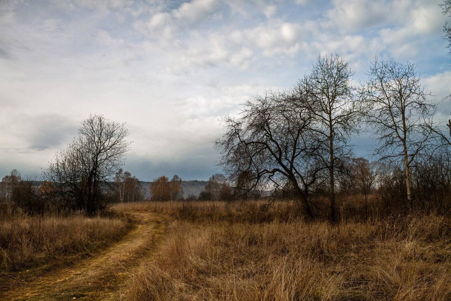 * * *. Автор: Курочкина Диана осень, поздняя осень, пасмурный день, Курочкина Диана