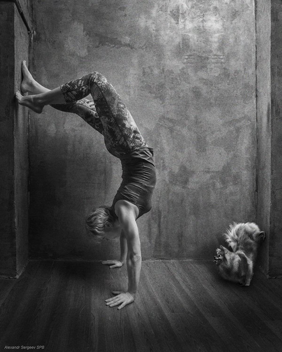 Акробатический этюд. Автор: Александр Сергеев женщина,спорт,акробатка,шпиц,юмор,арт,фото-арт, Александр Сергеев