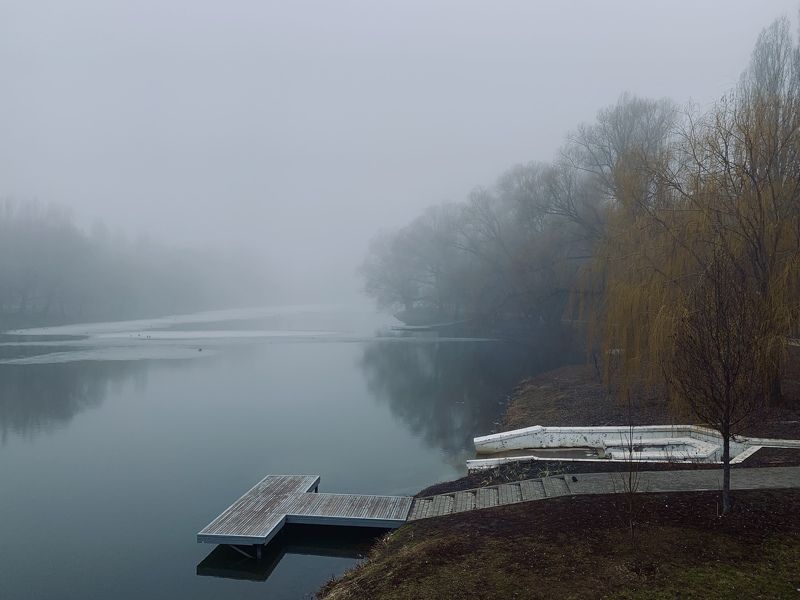 Foggy morningphoto preview