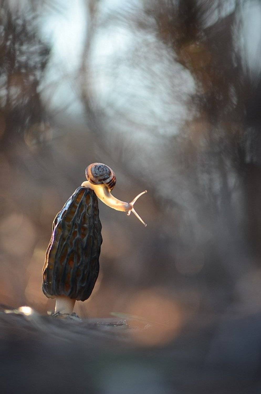 , Вячеслав Мищенко