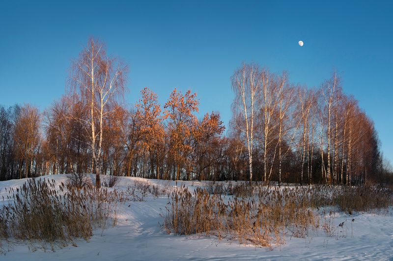 последний снег в лучах последних...photo preview