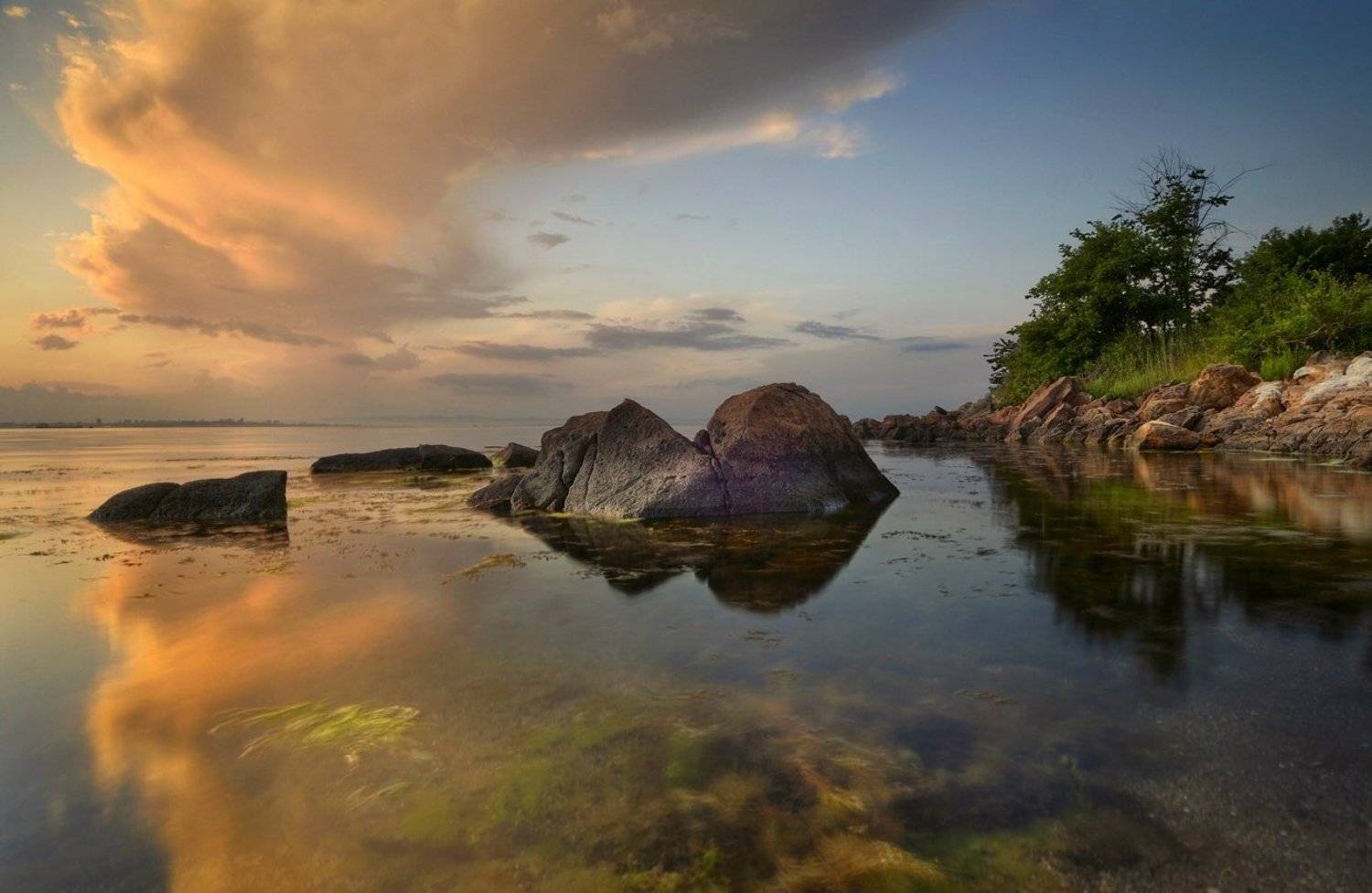 Автор: Румен Паисиев , Румен Паисиев