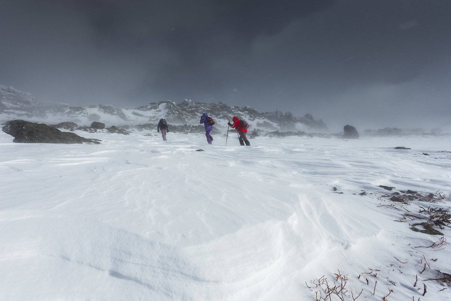 , Игорь Криницын