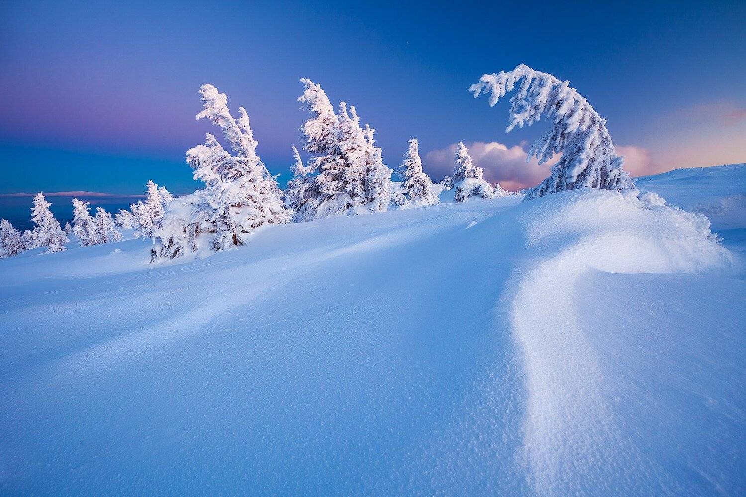 Weight. Автор: Szabo Zsolt Andras , Szabo Zsolt Andras