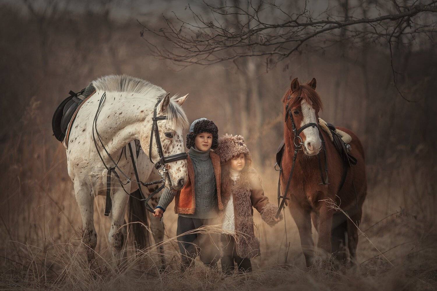 Автор: Анюта Онтикова , Анюта Онтикова