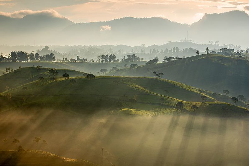 light,landscape,rol,rayoflight,green misty morningphoto preview