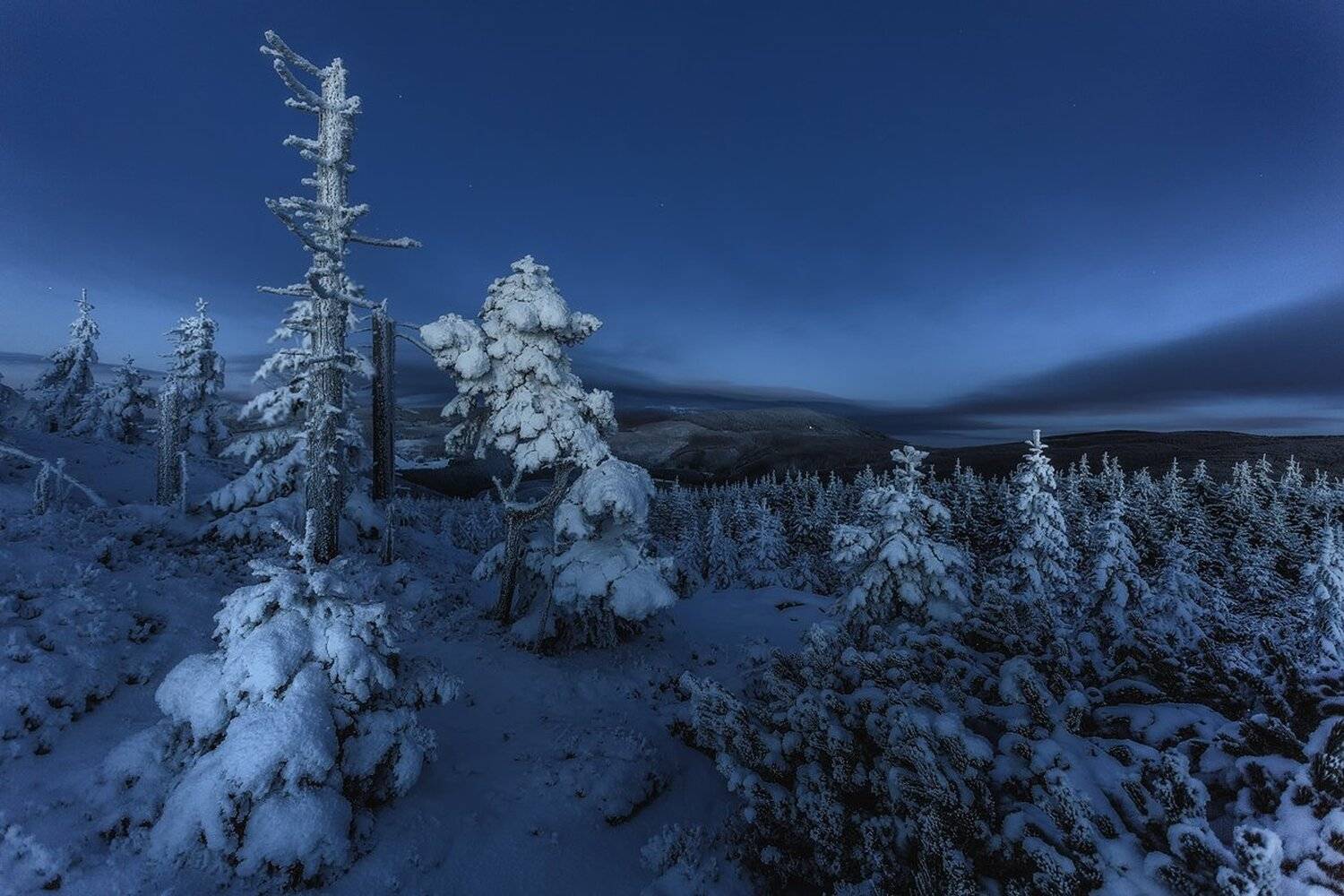 Last Day of Winter..... Автор: Iza i Darek Mitręga landscape,canon,awakening,winter, Iza i Darek Mitręga