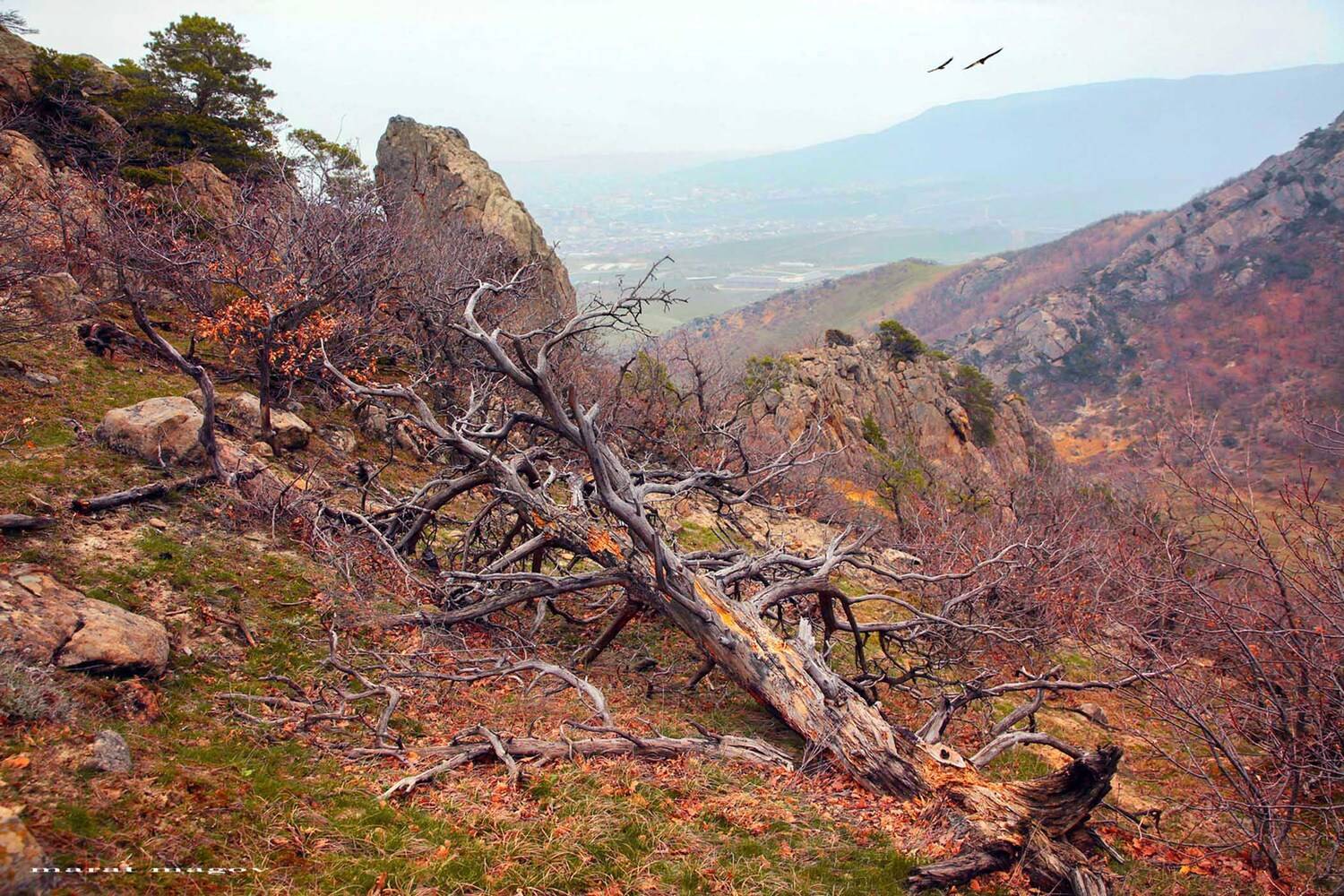 горы,осень,природа,дагестан., Marat Magov