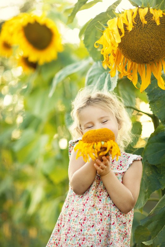 девочка, подсолнухи, лето, canon, 85mm, summer, girl Подсолнухиphoto preview