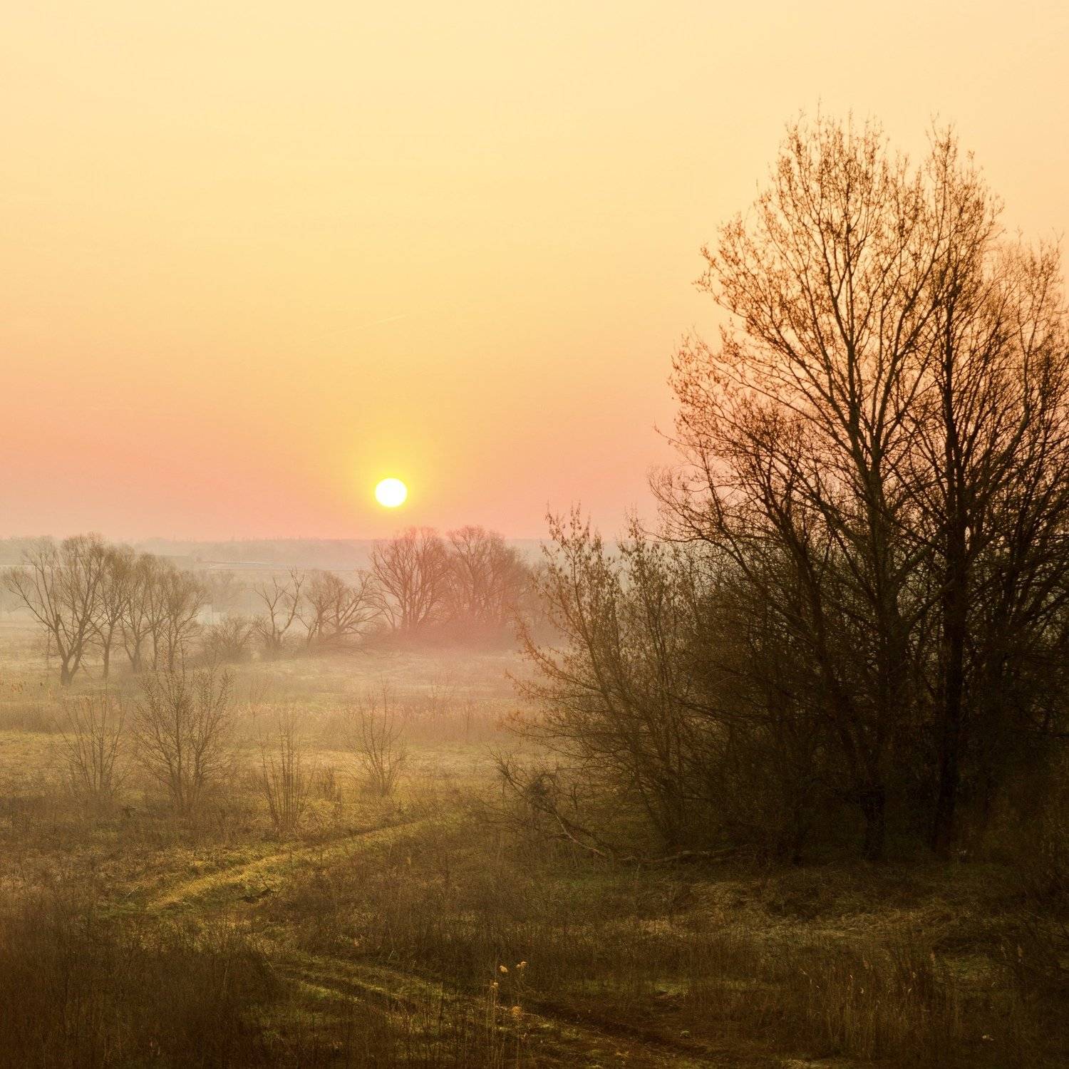 Весенняя. Автор: Сергей , Сергей