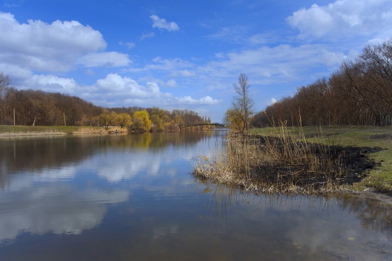 весна,утро,берег,река,гидропарк Гидропарк ...photo preview