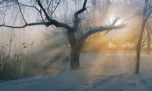 МОРОЗ И СОЛНЦЕ - БУДЕТ ДЕНЬ ХОРОШИЙ