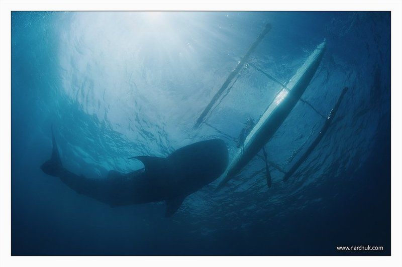 Вместеphoto preview