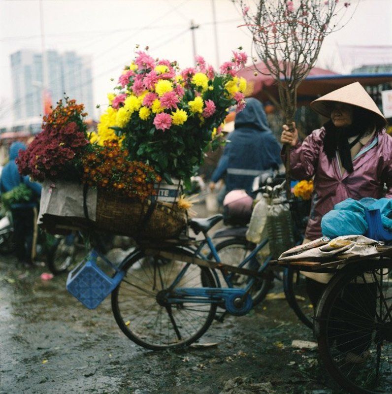 quang, ba, flower, market Quang Ba Flower market on Lunar New Year 2012photo preview
