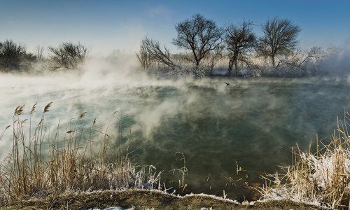 РЕКА ЖИВЕТ