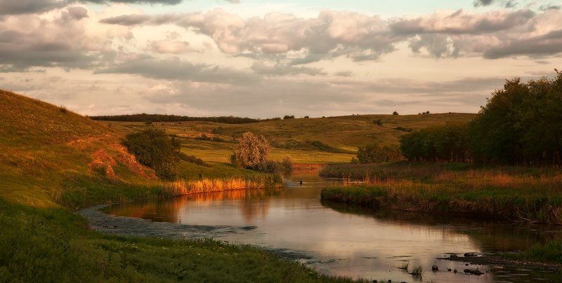На вечерней зорьке.photo preview