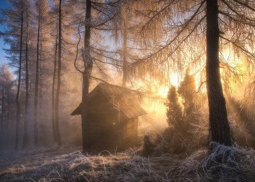magic home