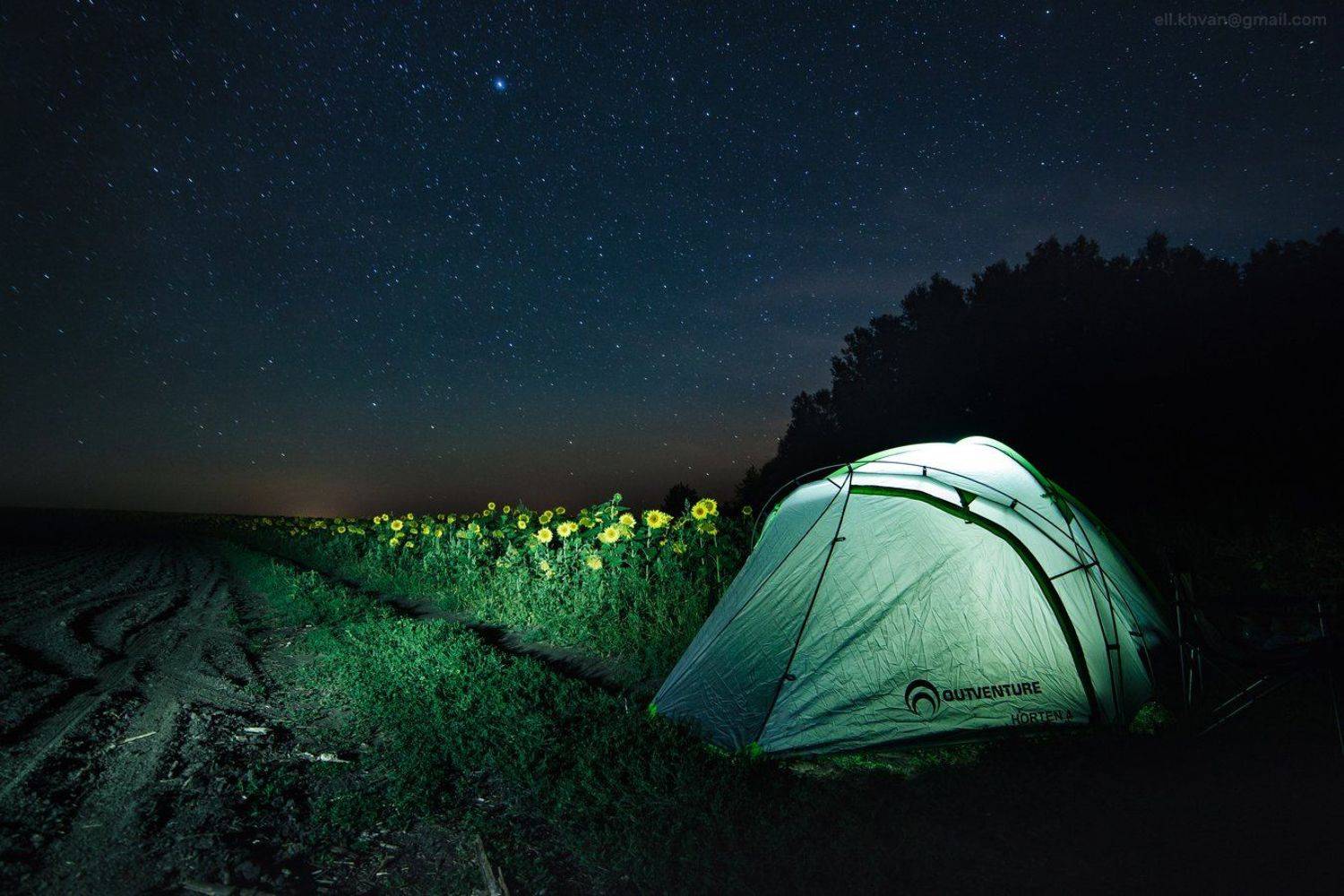 Август в Тульской области. Автор: Элина Хван Тула, млечный путь, ночная съёмка, подсолнухи, Элина Хван