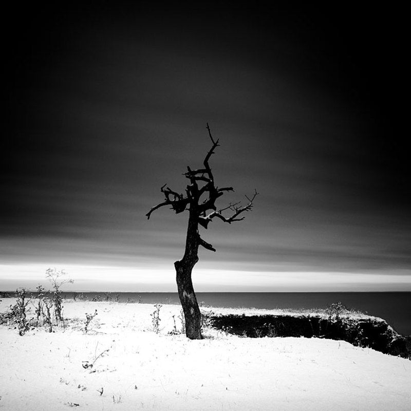 пейзаж, ч/б, моно, минимал, зима *photo preview