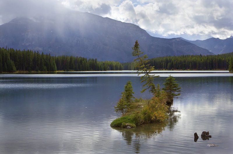 канада, озеро, ель, остров ***photo preview