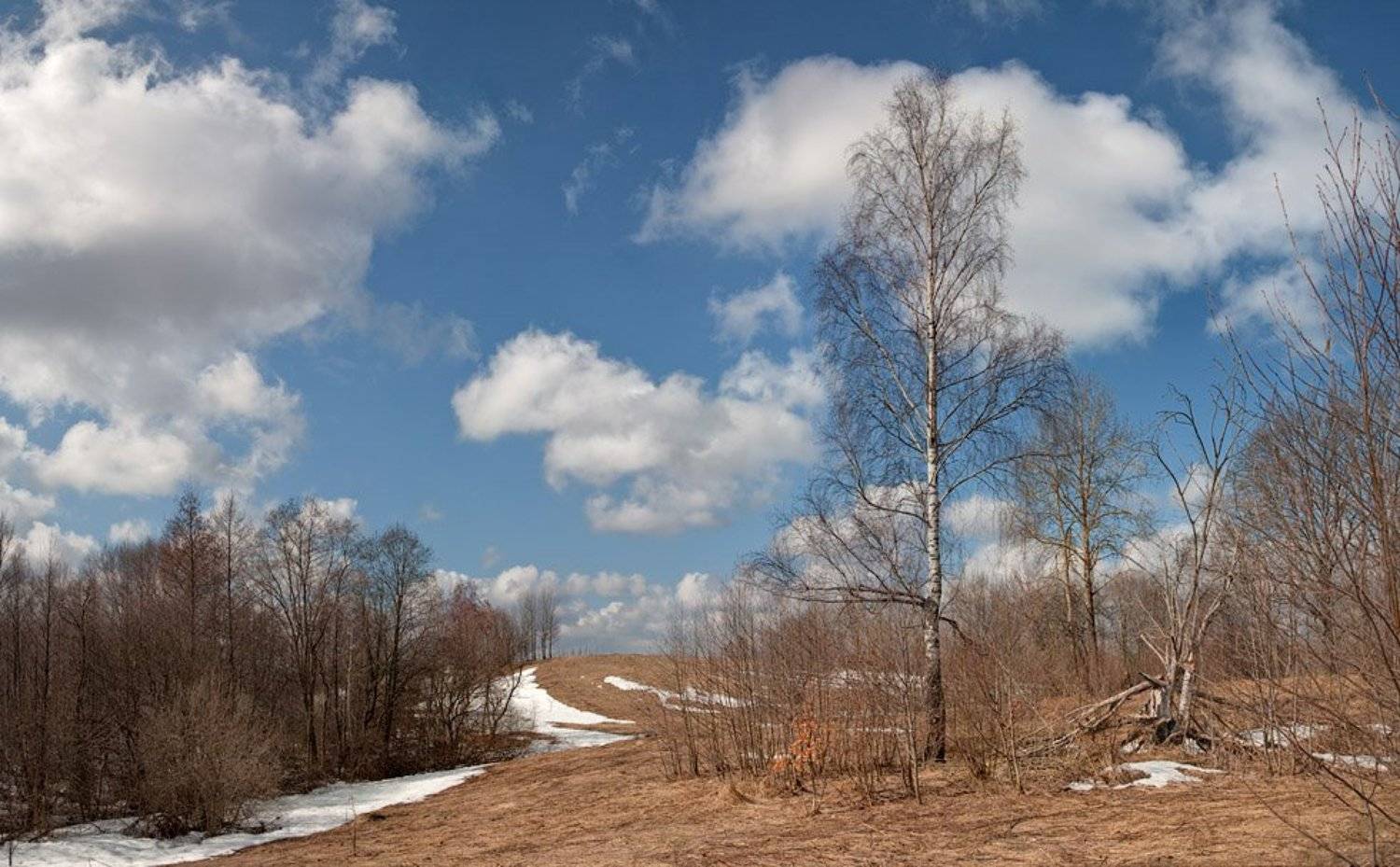 весна, Владимир Кириченко (vlkira)
