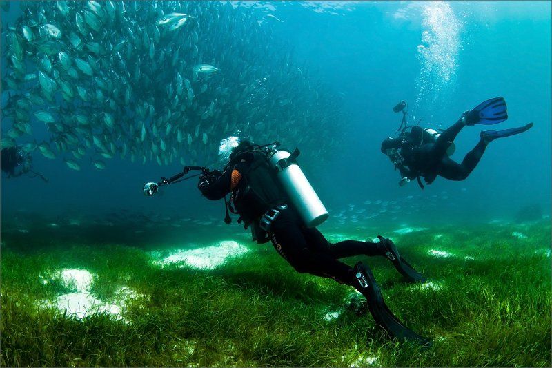 беззвучная Идёт охота ...photo preview