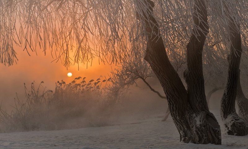 город, парк, зима, река, кубань , утро И НАЧИНАЛСЯ НОВЫЙ ДЕНЬphoto preview