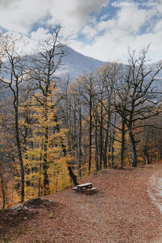 Красная Поляна, Сочи, кругозор Ефремова Осень в Красной Полянеphoto preview