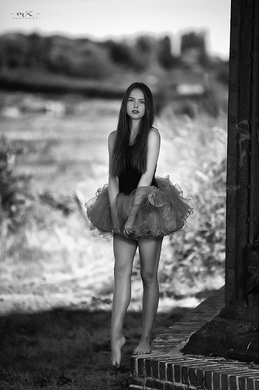 Step upphoto preview