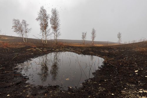 Зеркало Осени.