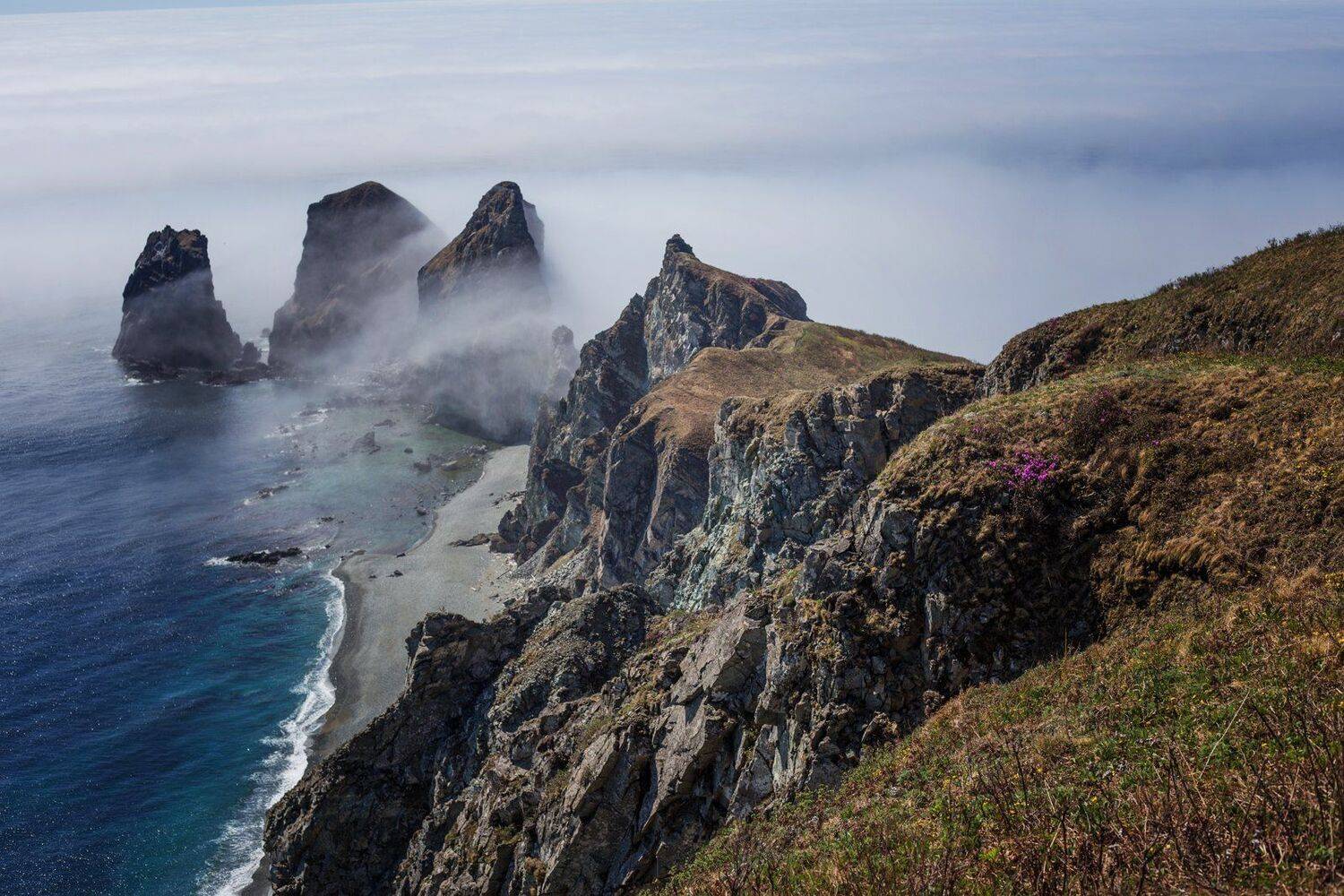 Автор: Сигида Дмитрий , Сигида Дмитрий