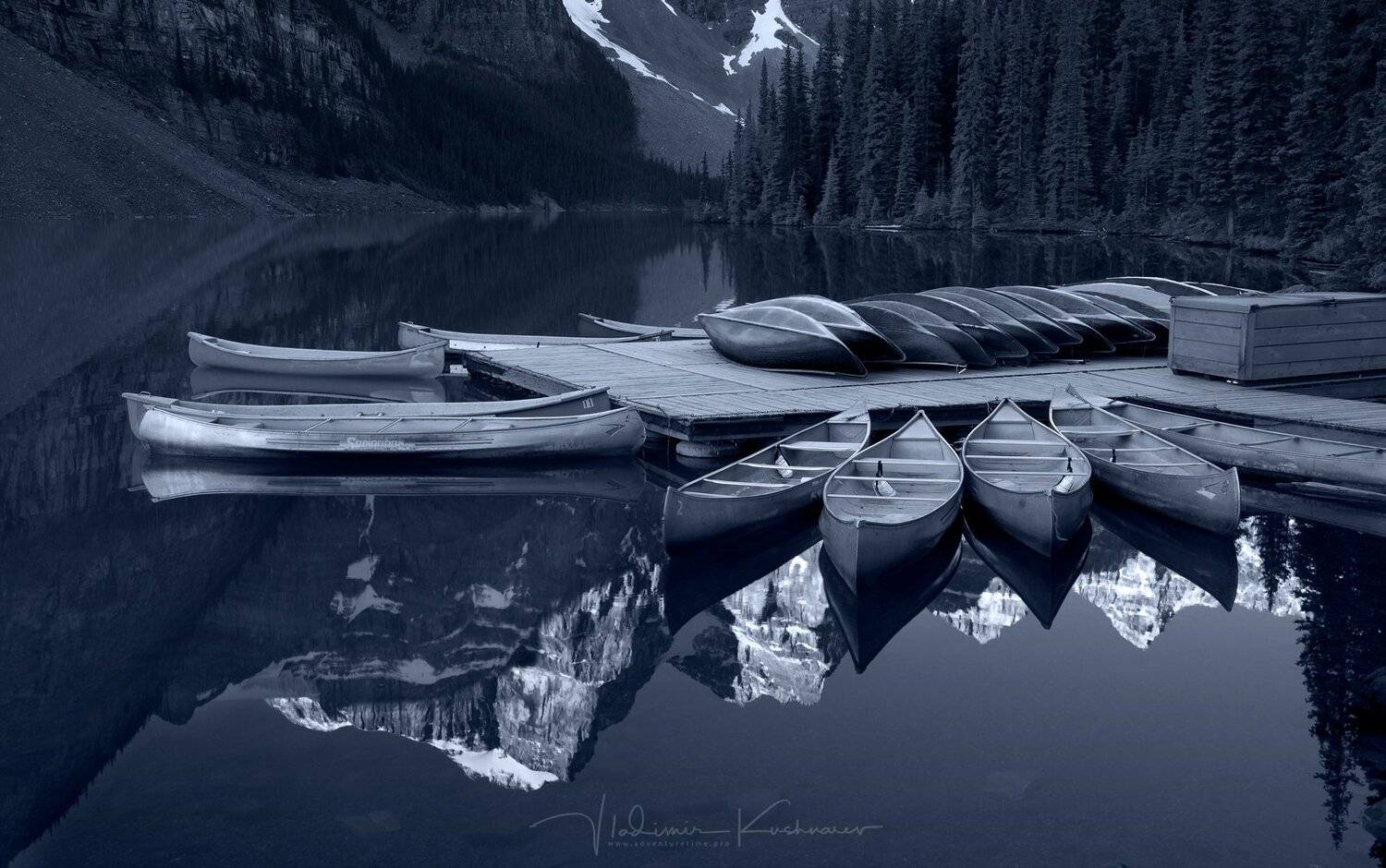 , Vladimir Kushnarev