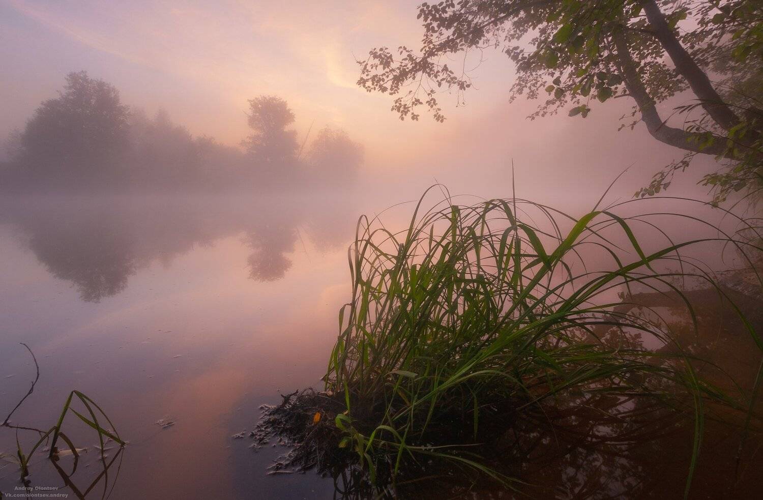 солнце, россия, рассвет, природа, подмосковье, погода, пейзажи, пейзаж, отражение, наукоград, красота, дубна, вода, весна, weather, water, spring, russia, reflection, naukograd, nature, moscow, landscape, dawn, canon, dubna, beauty, Андрей Олонцев