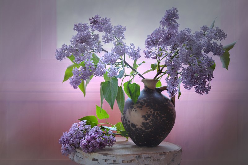 Сиреневый туманphoto preview