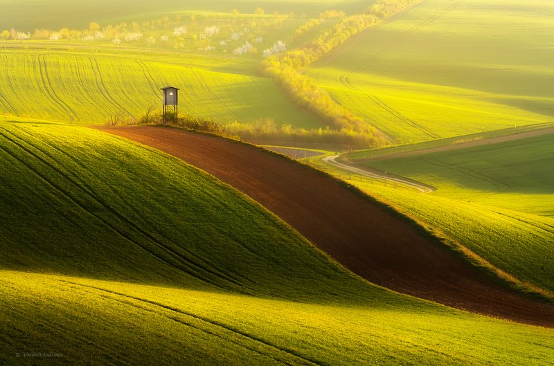 моравия, рассвет, пейзаж Лайм и шоколад...photo preview