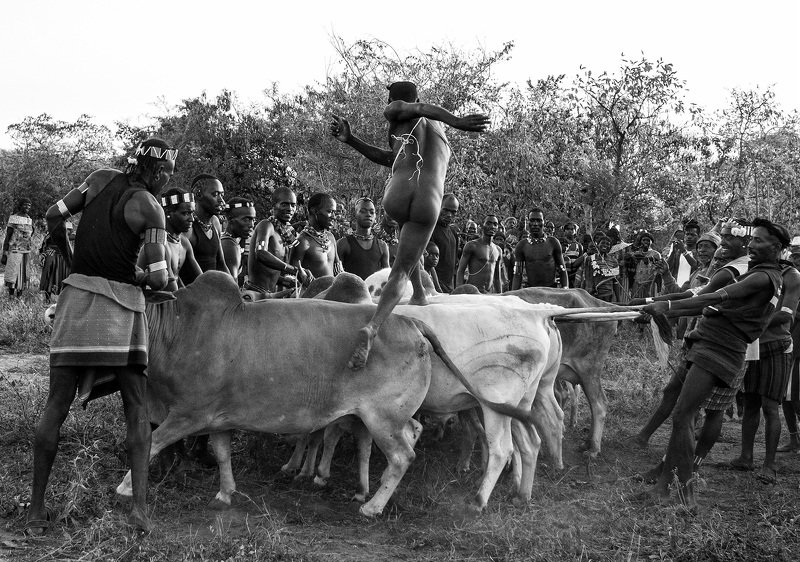 Традиции, свадьба, Эфиопия, Африка,племена Прыжковая церимонияphoto preview