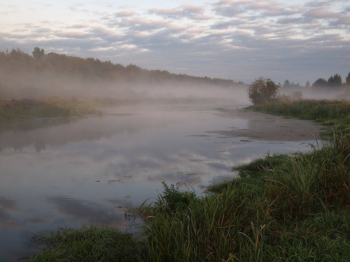 , Владимир Перепечаев