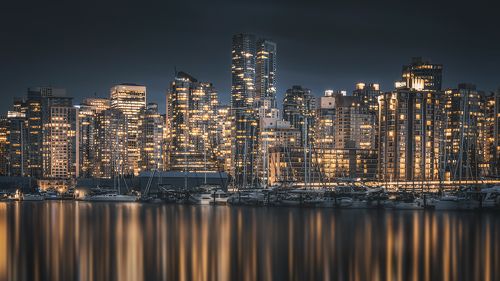 Twinkling Llights